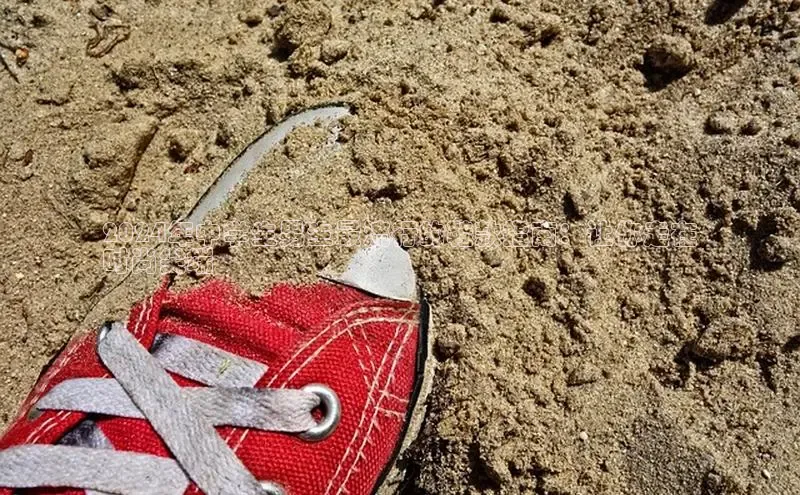 球速体育app下载赛富乐斯2024年中学生男生最流行的鞋款指南：让你走在
时尚尖端