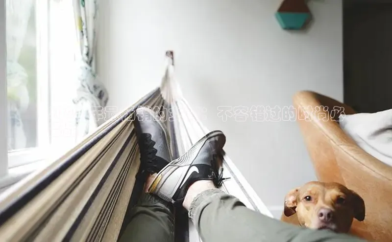 球速体育app登录入口百度手机卫士2024 年最畅销的女鞋：不容错过的时尚必
备品