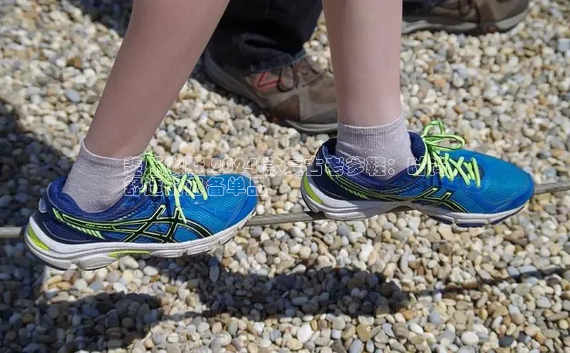 球速体育app下载赛富乐斯斐乐女鞋 2024 款复古老爹鞋：时尚
舒适的必备单品