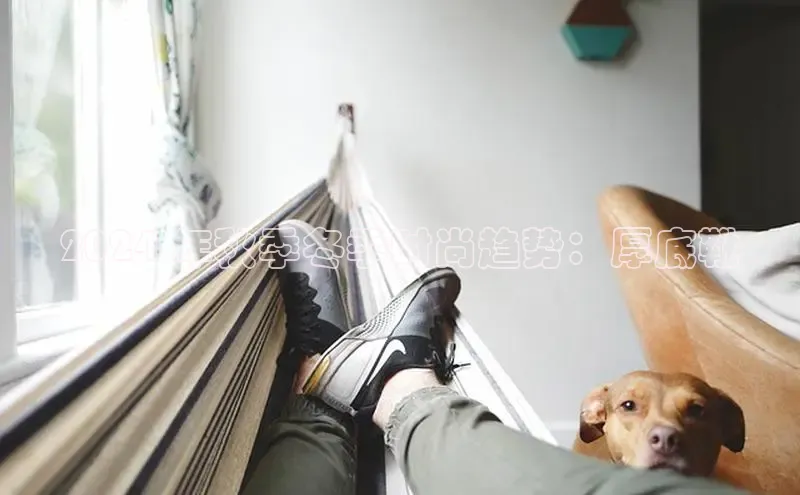 球速体育app登录入口汉得信息2024 年秋季冬季时尚趋势：厚底靴