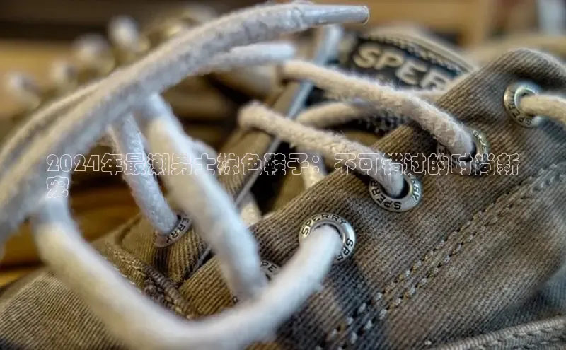 球速体育下载百度安全社区2024年最潮男士棕色鞋子：不可错过的时尚新
宠