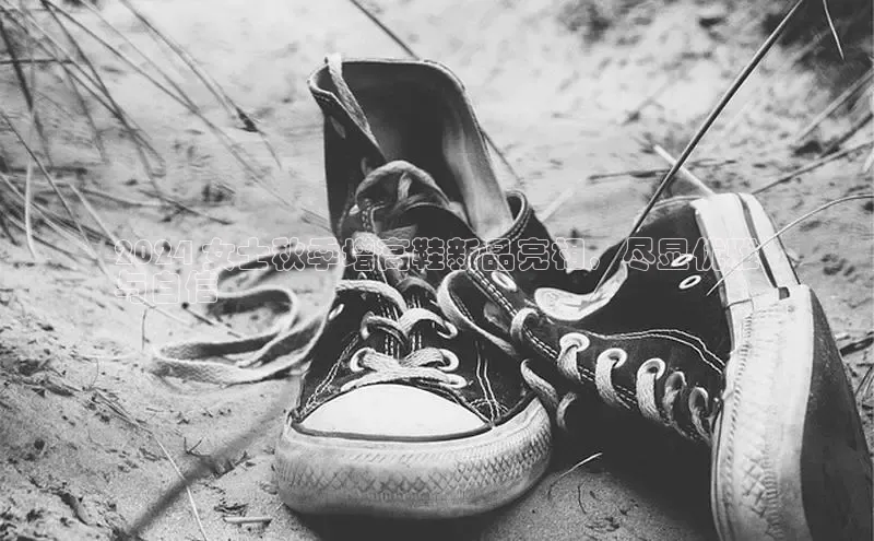 球速体育入口云创智行2024 女士秋季增高鞋新品亮相，尽显优雅
与自信