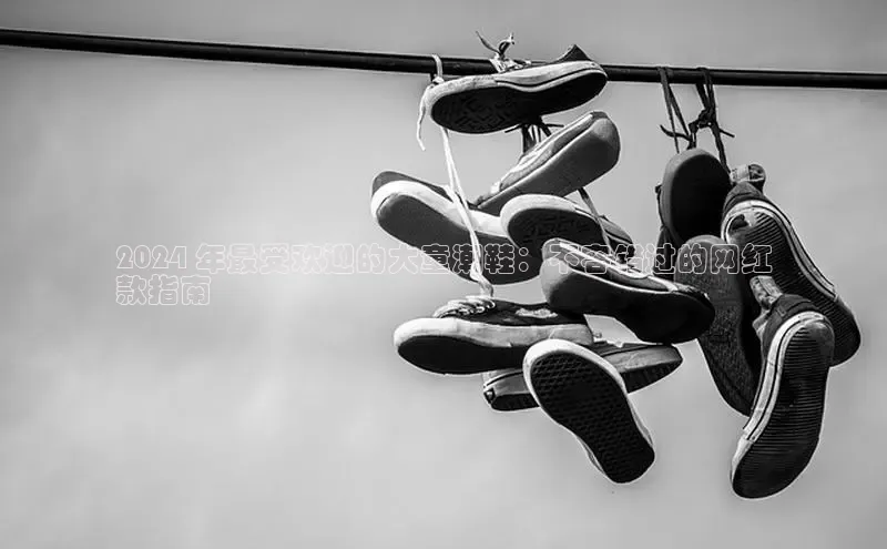 球速app官方入口百度手机输入法2024 年最受欢迎的大童潮鞋：不容错过的网红
款指南