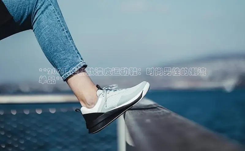球速体育app登录入口同程**2023 年新款漆皮运动鞋：时尚男性的潮流
单品**