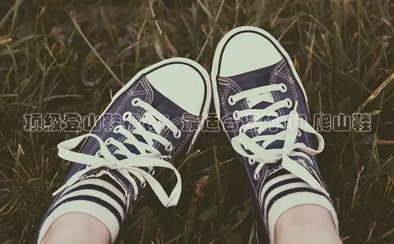 球速体育下载颐驰 06顶级登山鞋推荐：最适合您的 NB 爬山鞋