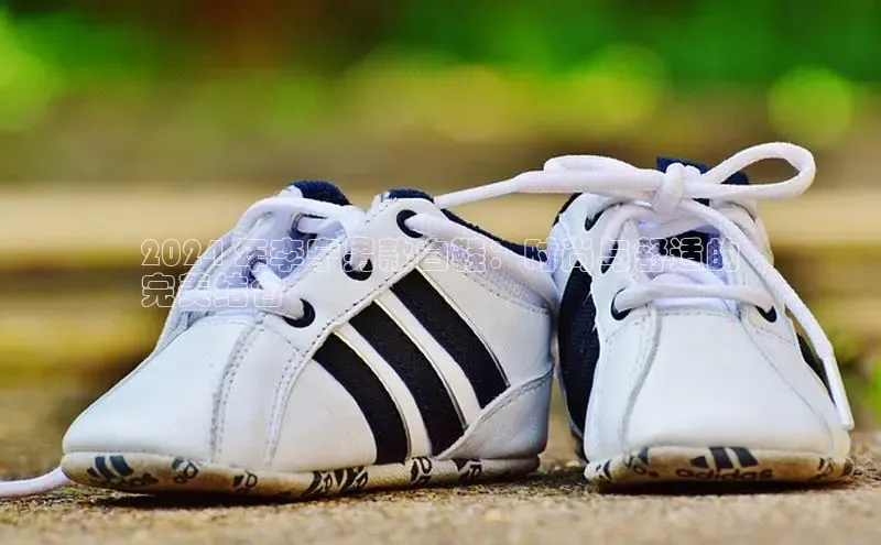 球速体育app登录入口百度手机卫士2024 年李宁男款白鞋：时尚与舒适的
完美结合