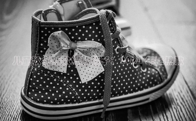 球速体育app官方下载华扬联众儿童秋冬新款爆款鞋子：2024 年最热款