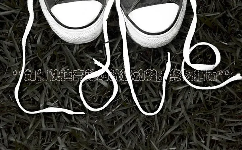 球速体育welcome登录哇咔哇咔文化**如何快速高效地洗运动鞋：终极指南**