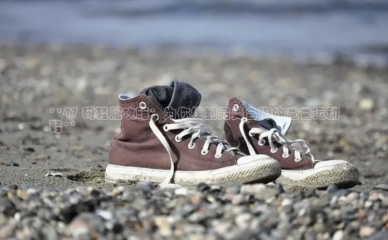 球速app官方入口文心一言**47 码鞋履攻略：为你找到完美合脚的爸爸运动
鞋**