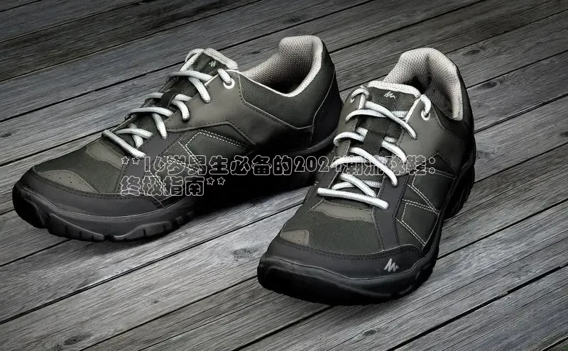 球速体育官网百度网盘**16岁男生必备的2024潮流球鞋：
终极指南**