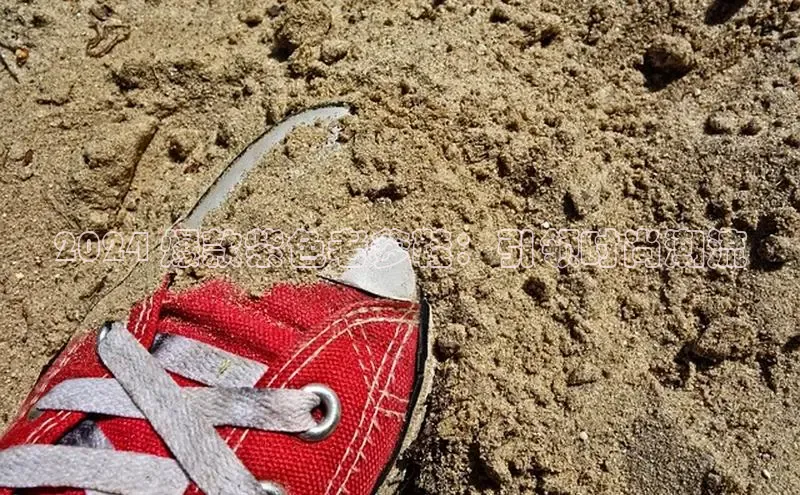 球速体育网页版登录入口百度 H52024 爆款紫色老爹鞋：引领时尚潮流