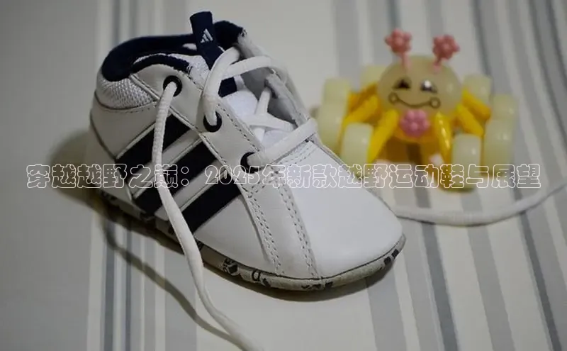 穿越越野之巅：2025年新款越野运动鞋与展望