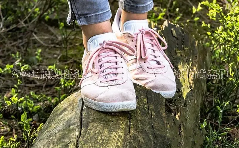 球速体育平台官网入口