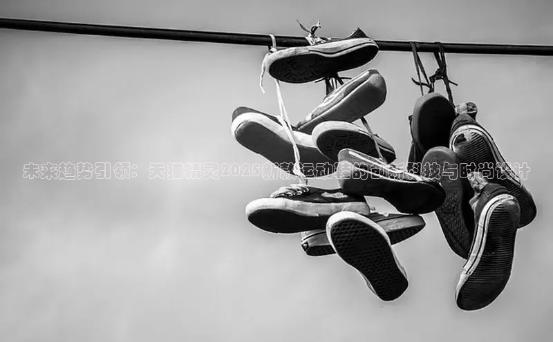 球速体育网页版登录入口