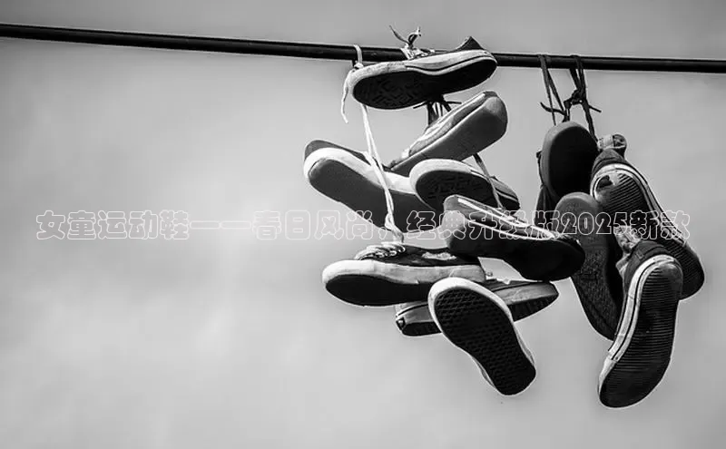 球速体育网页版登录入口