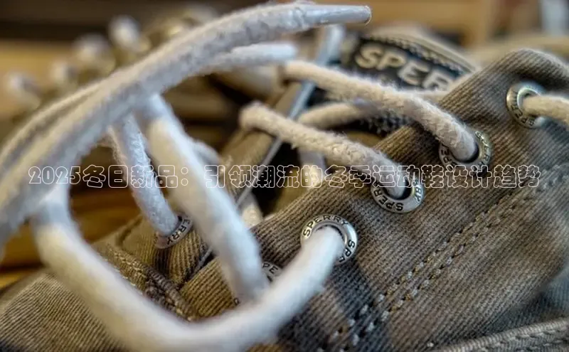 球速体育app登录入口